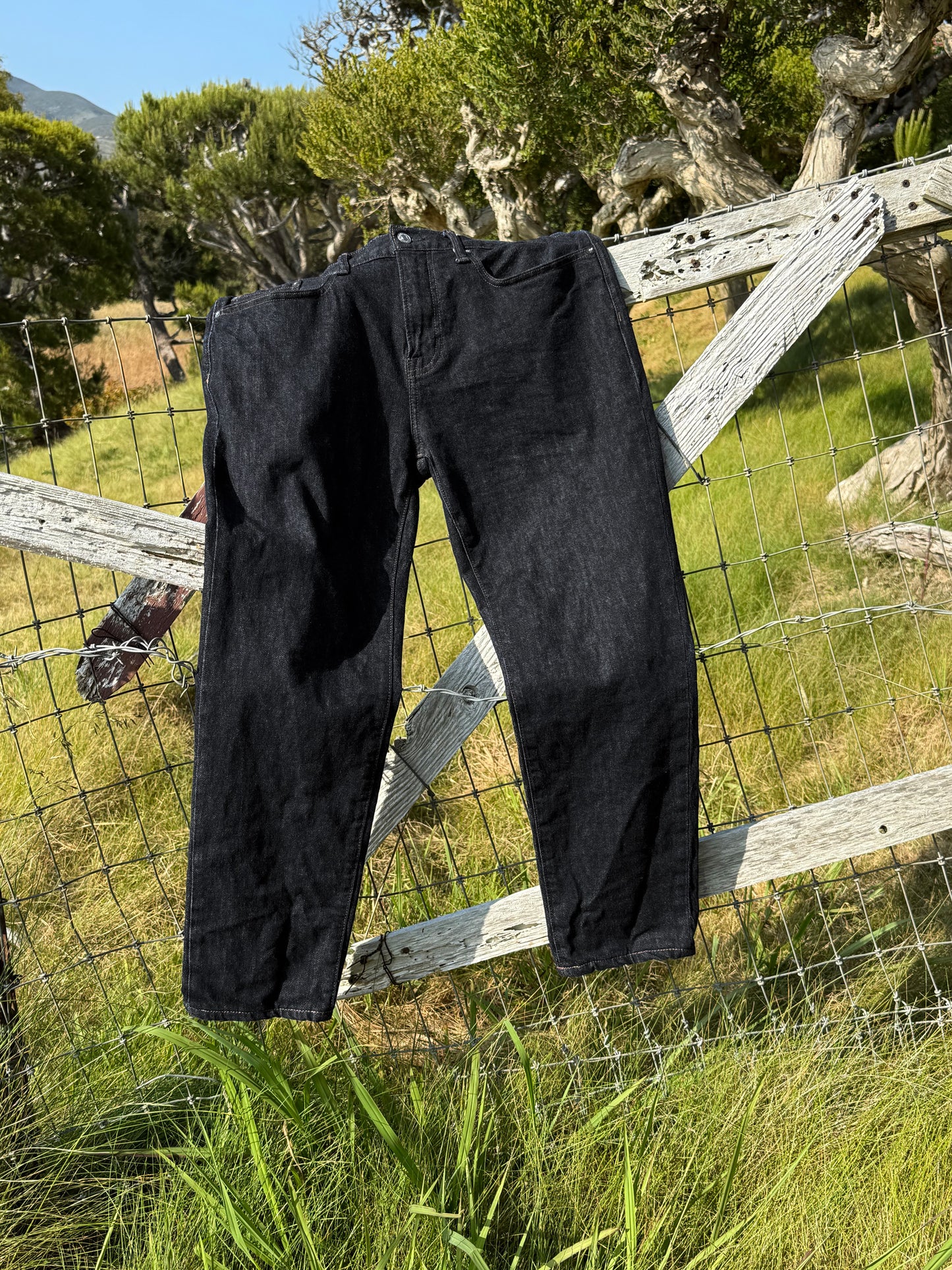 Black Freeze | Black Denim and Cotton